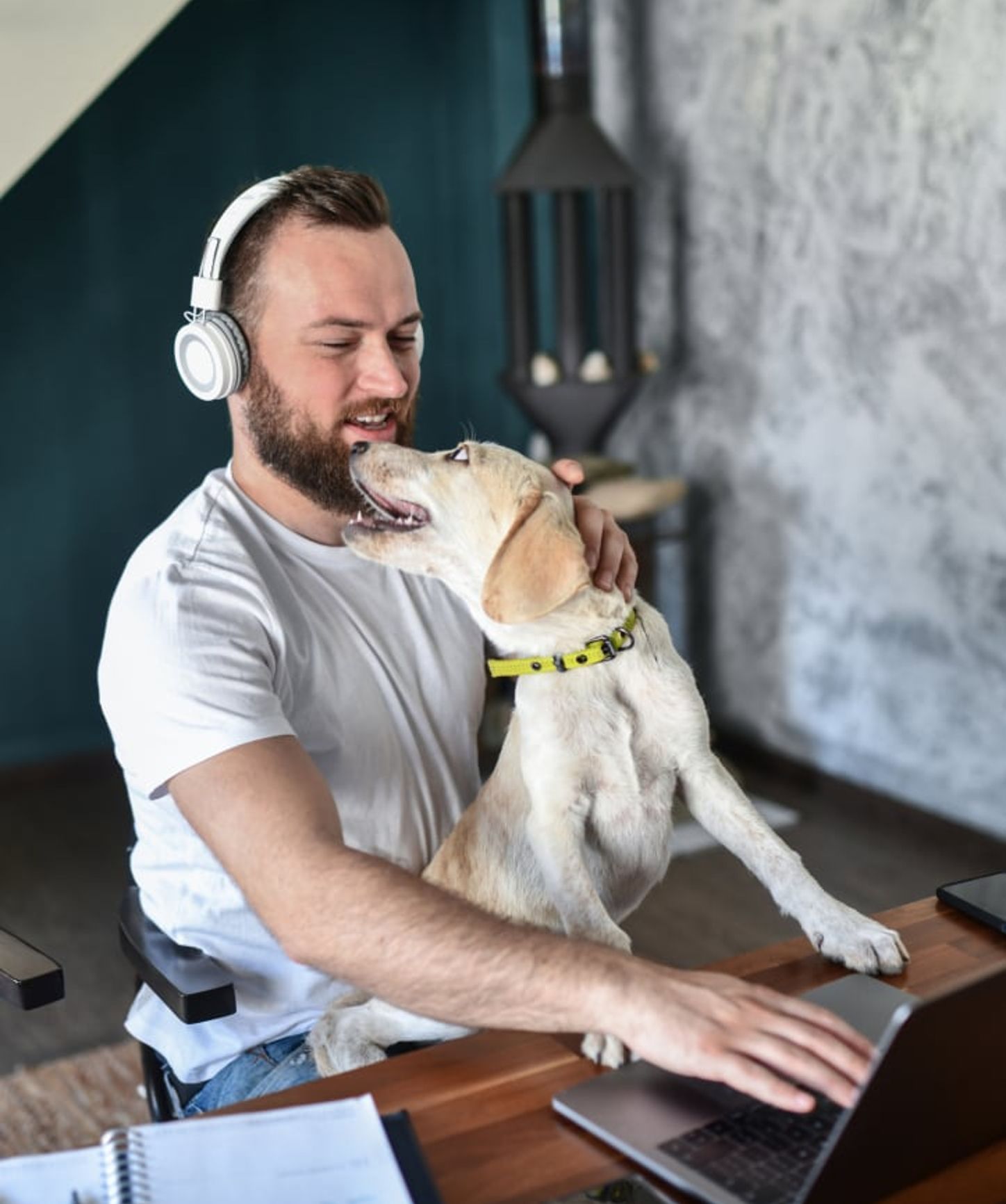 Man wearing headphones working on a laptop while affectionately playing with his dog in a home office setting