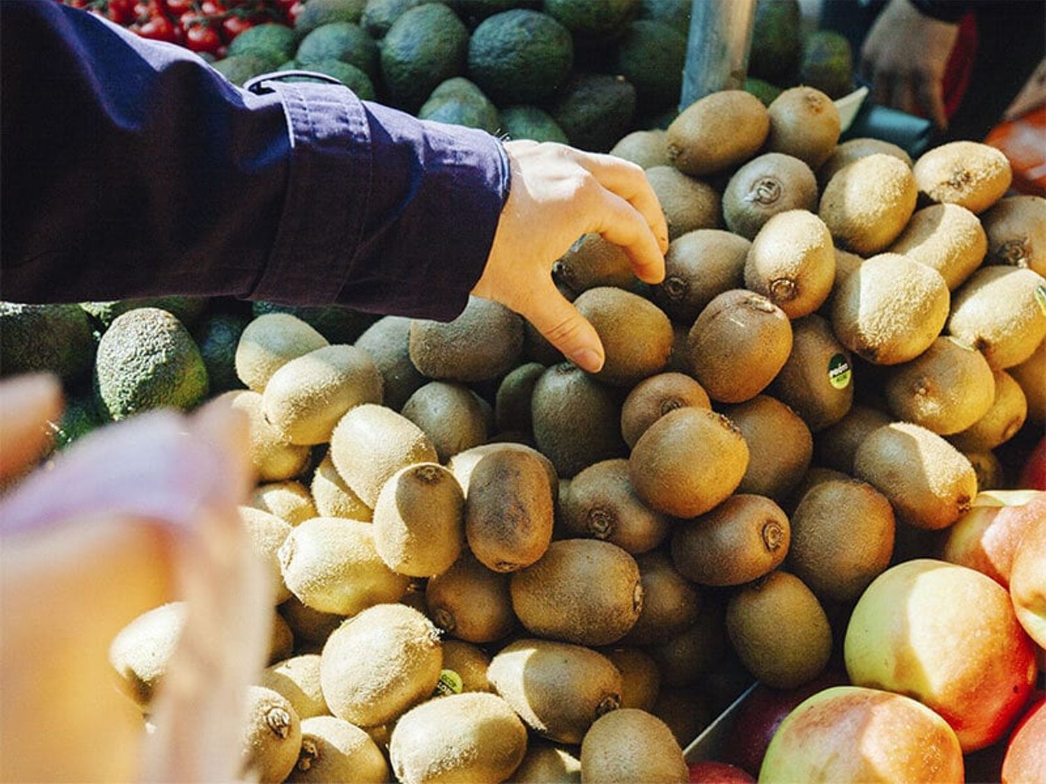 Image of a hand reaching into a pile of kiwis
